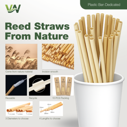 Natural Reed Straws