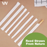 Natural Reed Straws - Image 6